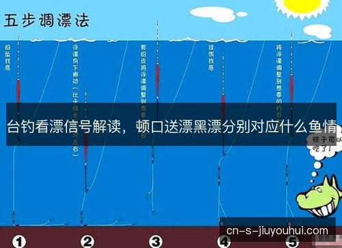 台钓看漂信号解读，顿口送漂黑漂分别对应什么鱼情